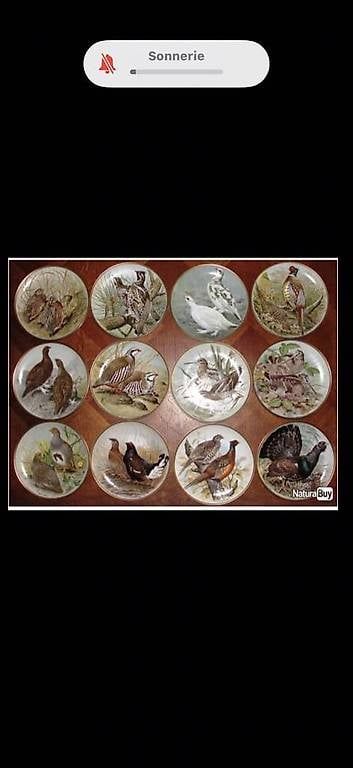 Teller: Collection 12 assiettes avec oiseaux du Monde – Gebraucht aus Greng von Cristina0112