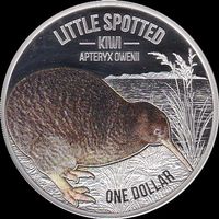 Neuseeland 1 $ 2018 Kiwi farbig - Polierte Platte
