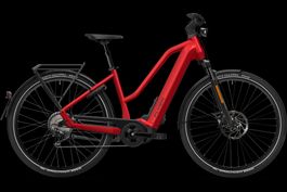 NEU E-BIKE FLYER 45KM/H | 95NM & 750WH FIT PANASONIC