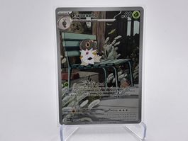 Optimale Ordnung - Puponcho  (POR 89) - DE