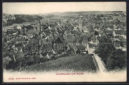 AK Schaffhausen, Teilansicht vom Munot