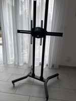 TV Ständer mit Rollen