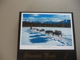 Sharelock-Puzzle Holz Sibirien Husky 650 Teile