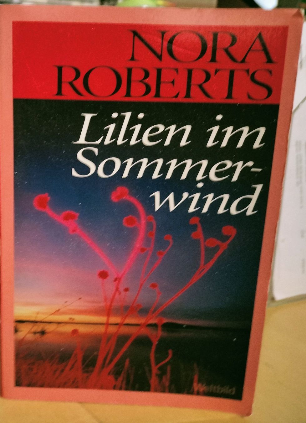 Libri: Liebe im Sommerwind – Usato da Heimberg venduto da Rockenrol