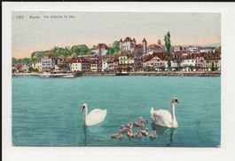AK ca.1915 Nyon Vu depuis le lac mit Schwanenfamilie
