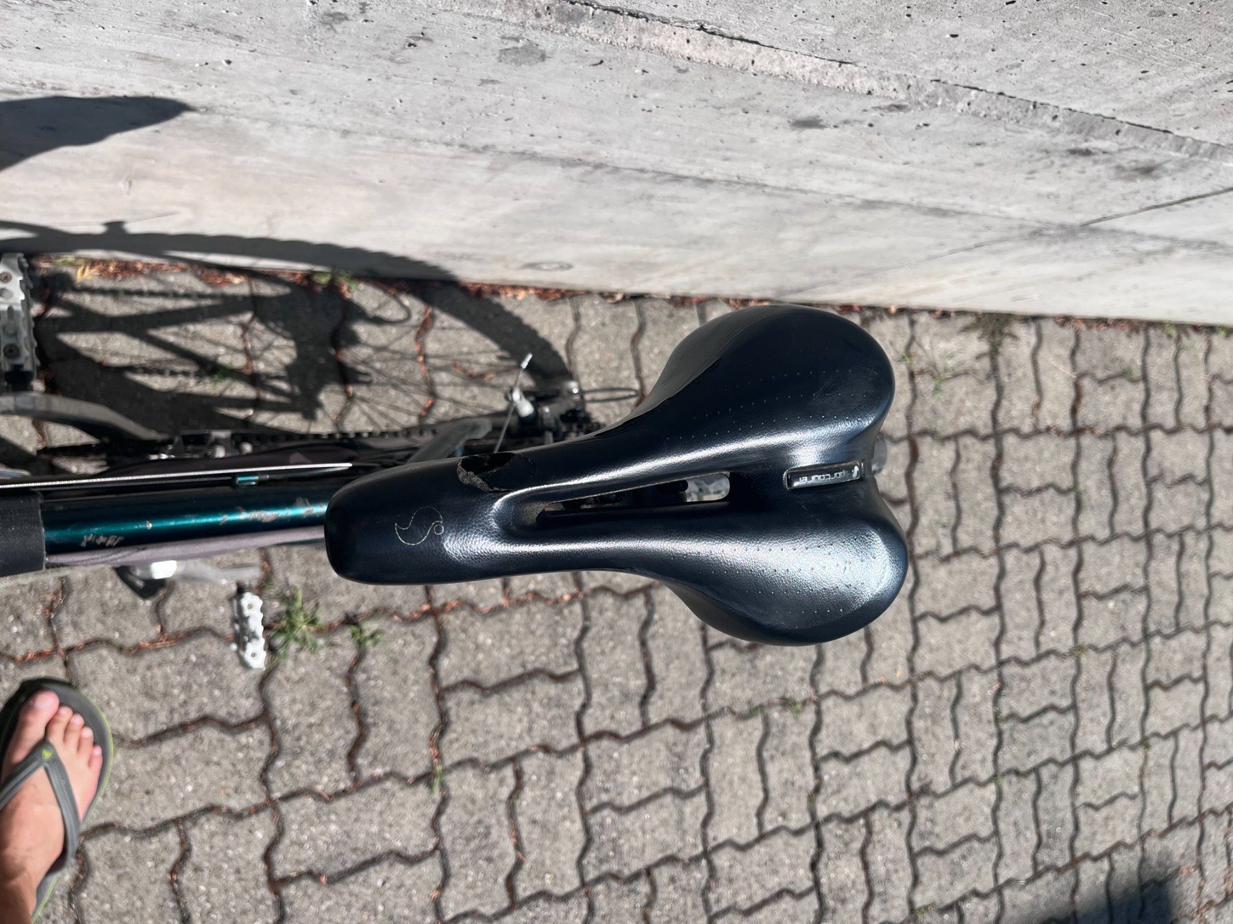 Wheeler Biciclette: Mountainbike Wheeler – Usato da Thun venduto da Bischoffs 2