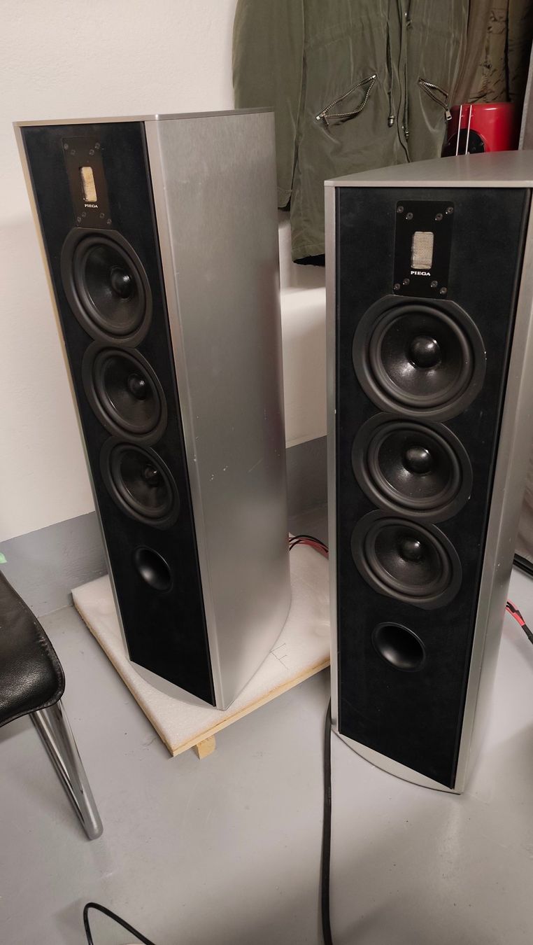 Piega Haut-parleurs: Piega C8 – D'occasion à Bern par Buybest24 2