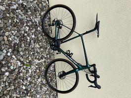 Rennrad Trek Emonda Farbe Emerald Iris