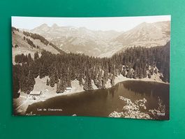 Lac de Chavonnes