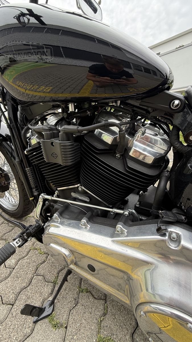 Harley-Davidson Chopper: Harley - Davidson FXST – Usato da Staad SG venduto da adi_9qcx 7