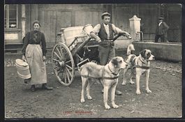 Schweiz, Zwei Hunde vor Milchkarren in e
