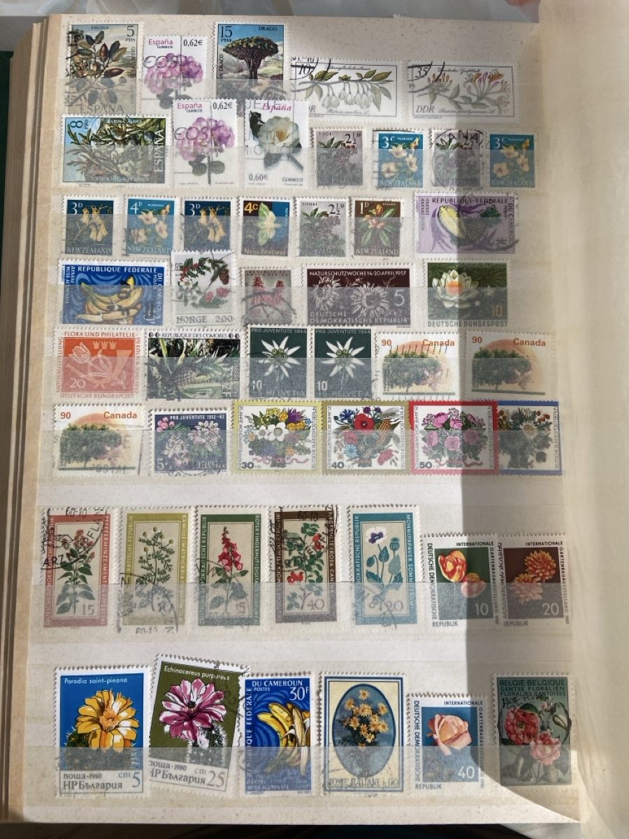 Tutti i francobolli: Briefmarken Blumen Motiv 6 pages – Usato da Collex venduto da RCXGJ
