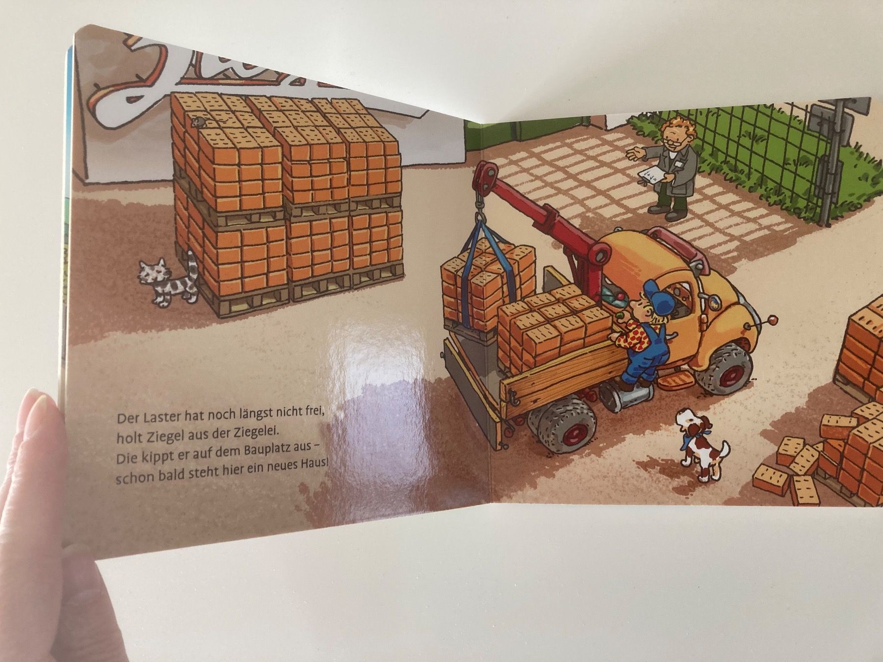 Libri: Buch kleiner Laster – Usato da Winterthur venduto da NatMet11 2