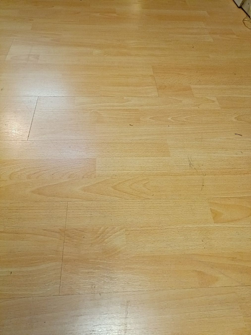 Rivestimenti per pavimenti: Laminat 21qm. – Usato da Köniz venduto da Brockenreich 4