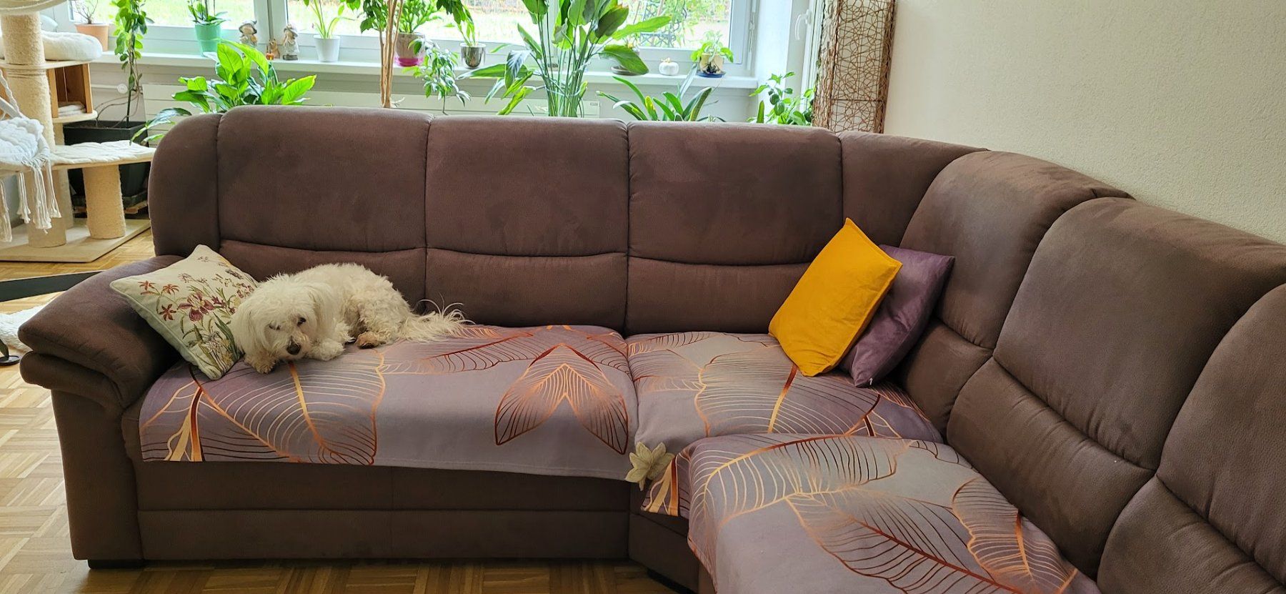 Sofas: Polstergruppe / Ecksofa – D'occasion à Schaffhausen par AidaK 3