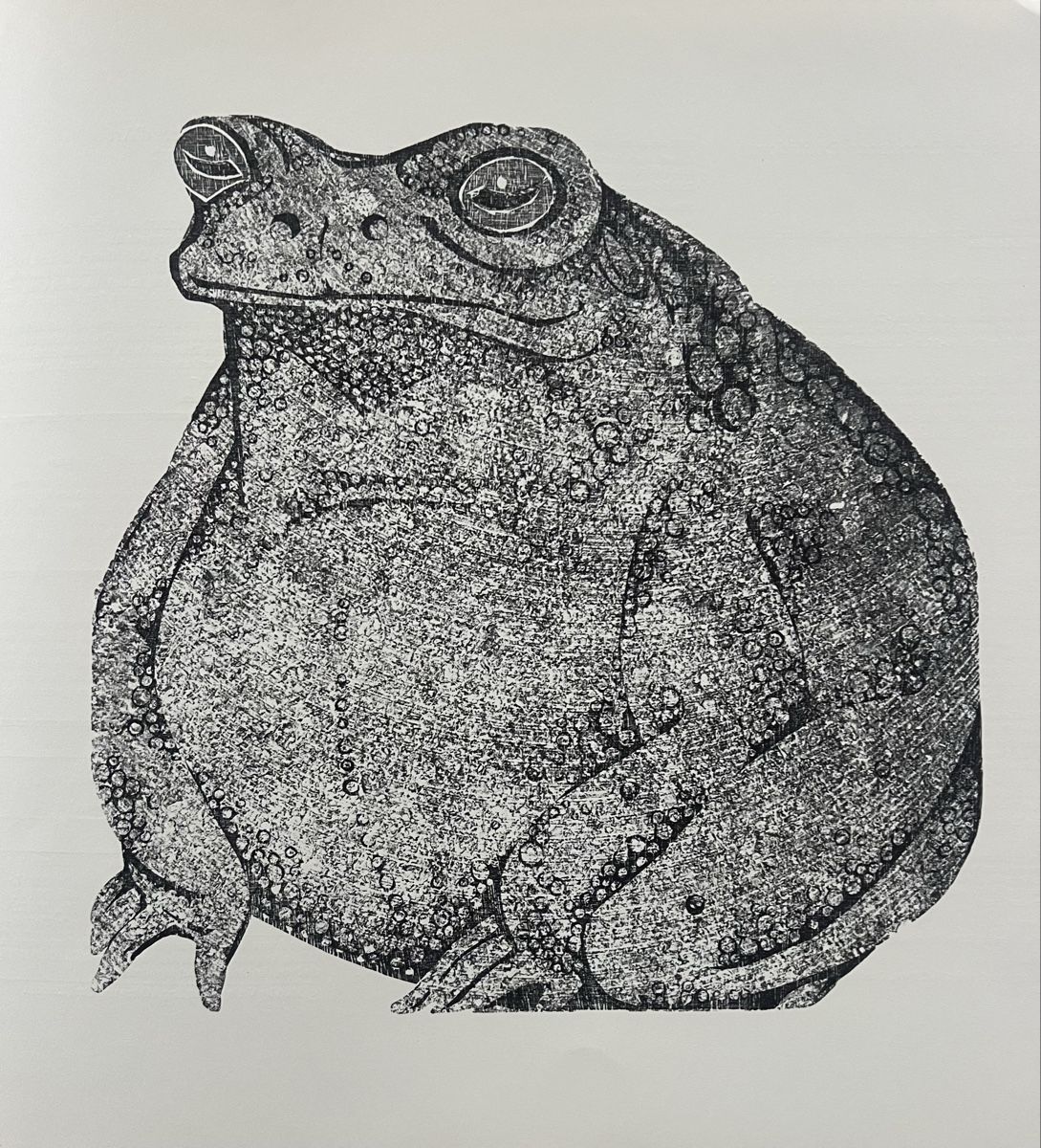 Arts picturaux & lithographies: Emil Zbinden, philographic 7 – D'occasion à Rain par Pic-Ass 3