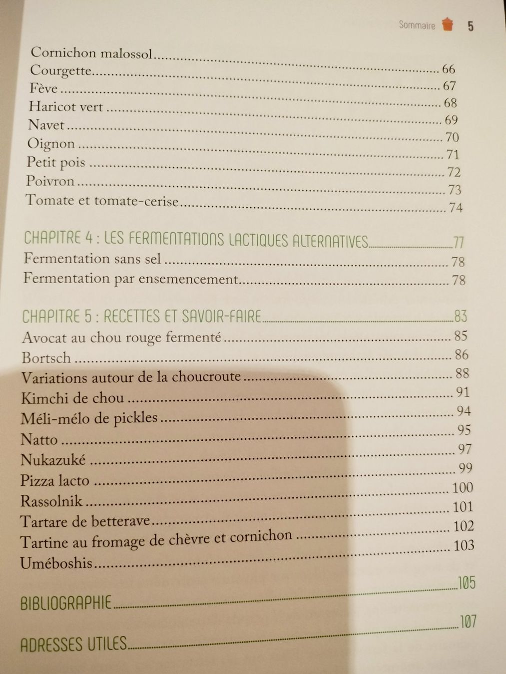 Livres: Prodigieuse lactofermentation avec des recettes – Neuf (Voir description) à Cortaillod par rozinna 3