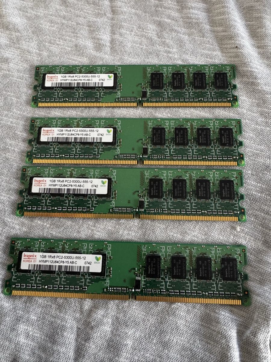 Memoria / RAM: Hynix. 1GB par barrette. – Difettoso da Vevey venduto da Eiden77