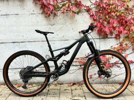 Mountainbike Orbea Rallon dark green