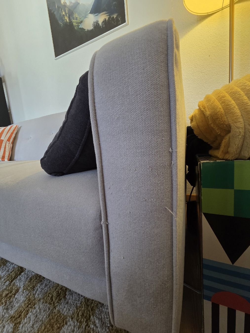 Sofas: Bettsofa Conforama – D'occasion à Biel/Bienne par ans_7jxy 4