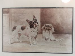 Franz. Bulldogge und Pekingese von J. Dirat