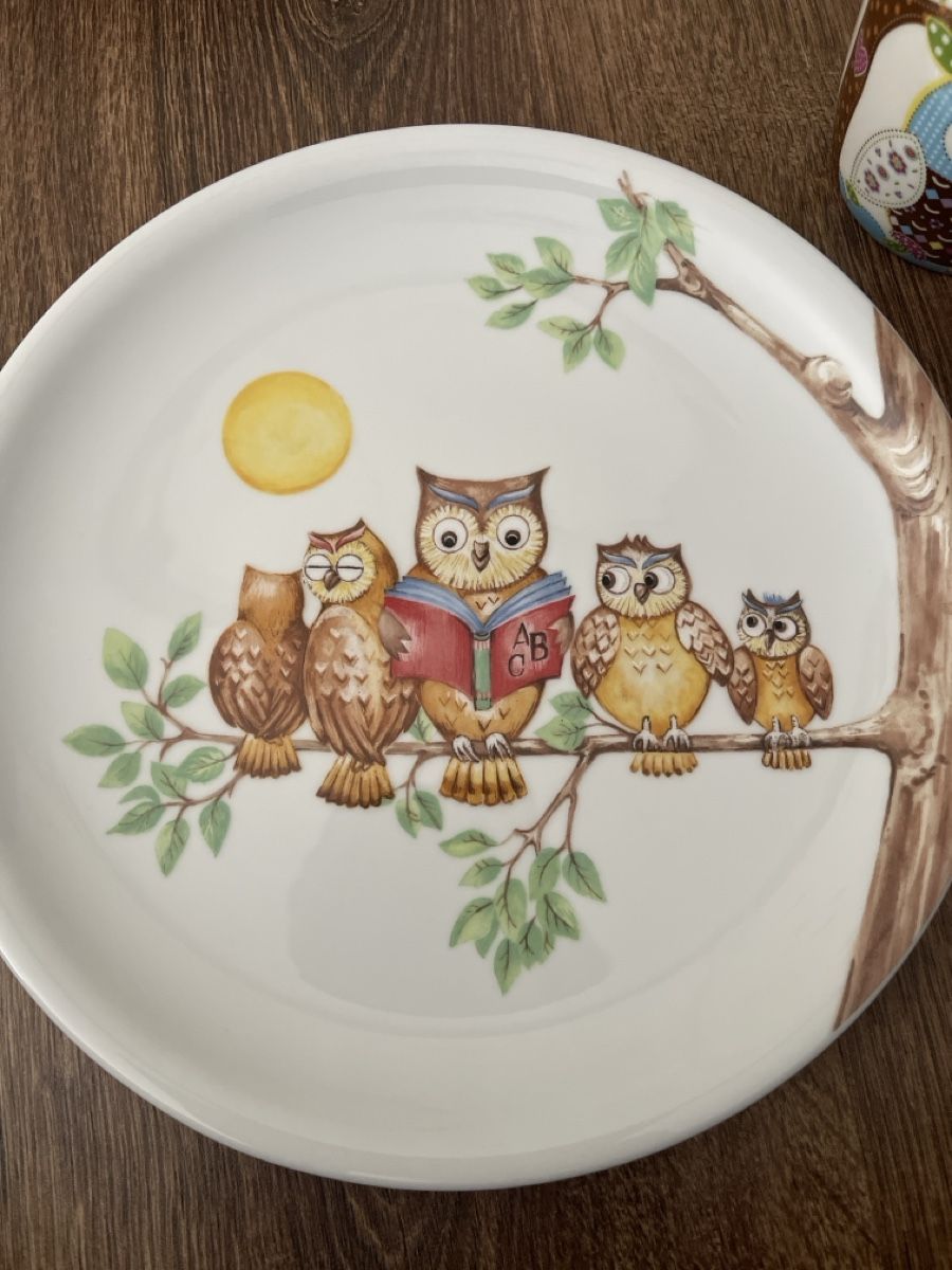Set di piatti: Teller Tassen Set Eule – Usato da Samstagern venduto da Katinka8 1