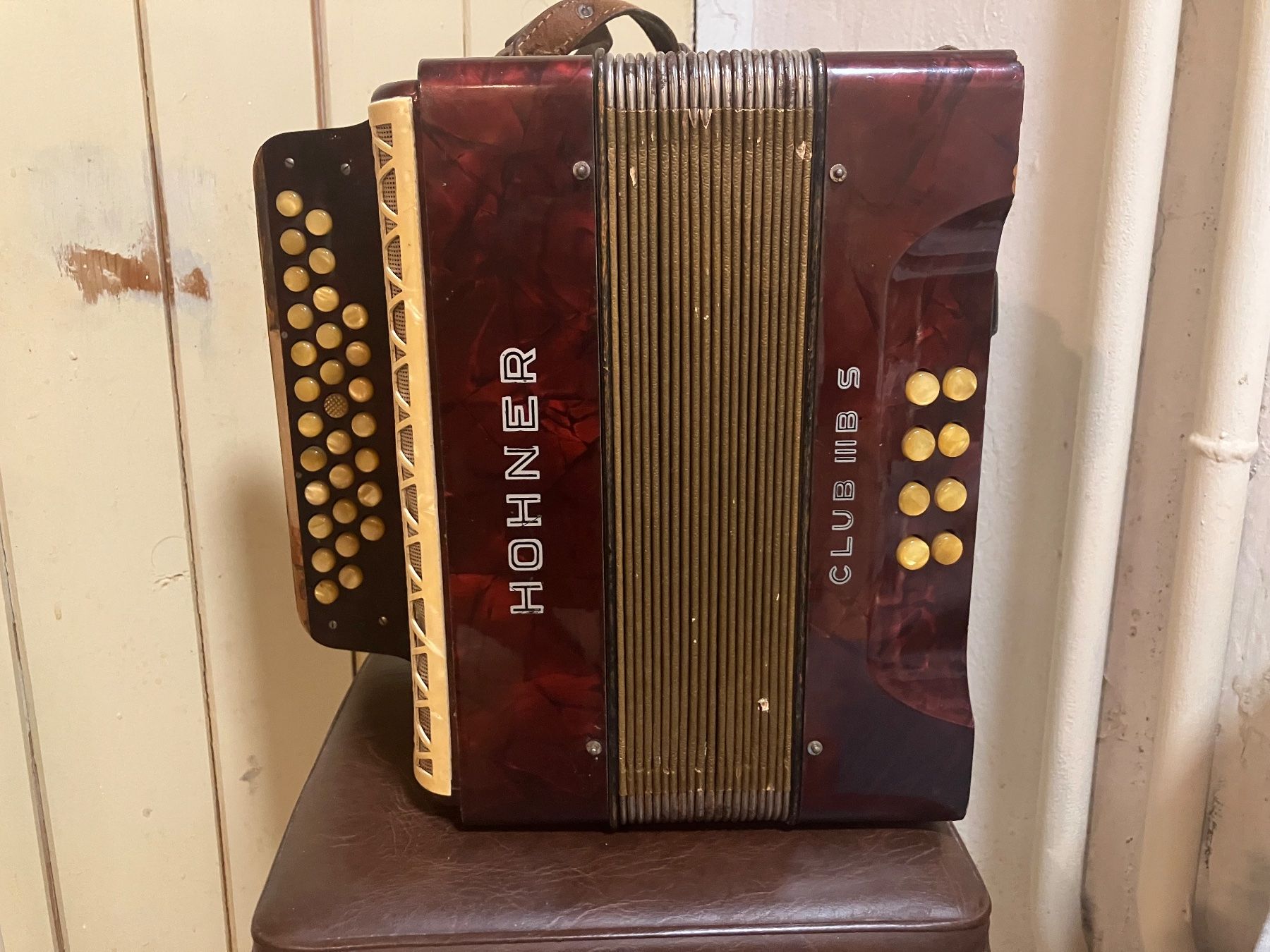 Strumenti musicali: Handorgel Horner – Usato da Wangenried venduto da Johndeere68 1