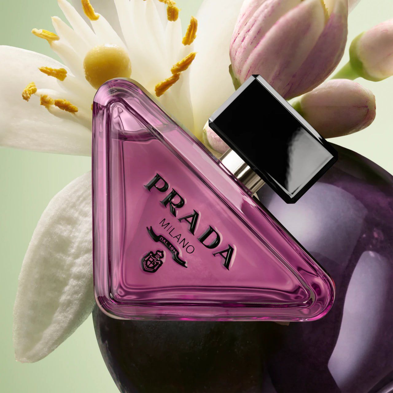 Prada Profumi & Eau de Toilette: Prada Paradoxe Sweet Chemistry 2026 muster – Nuovo e nell'imballaggio originale da Flums venduto da Inna77