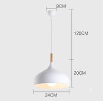 Lampe à suspension moderne nordique en Acier inoxydable