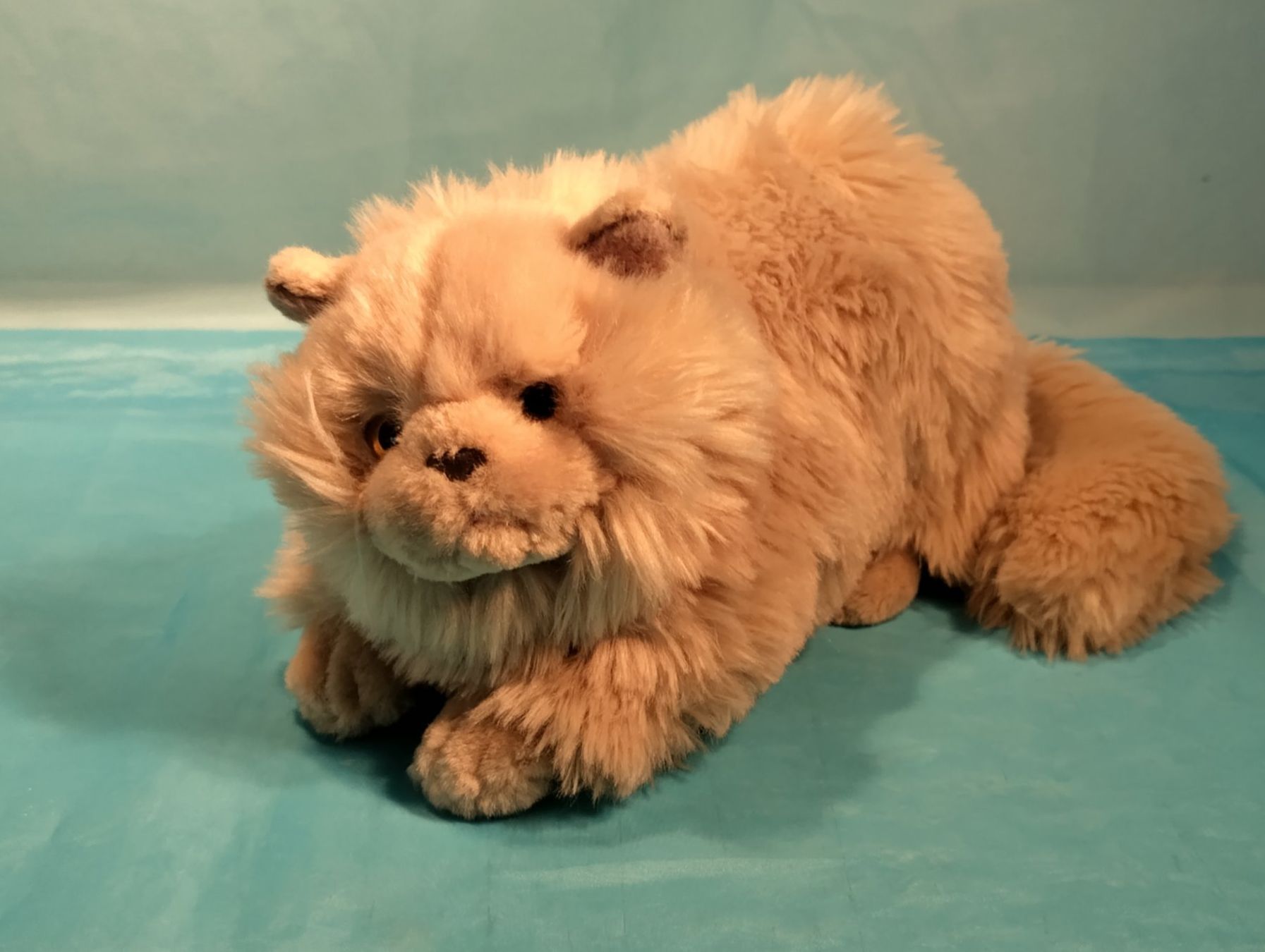 Teddy Hermann Giocattoli: Perser Katze, Plüsch, grau, Teddy Hermann Collection, L:25cm – Nuovo (secondo la descrizione) da Bellach venduto da JingleCherry 4
