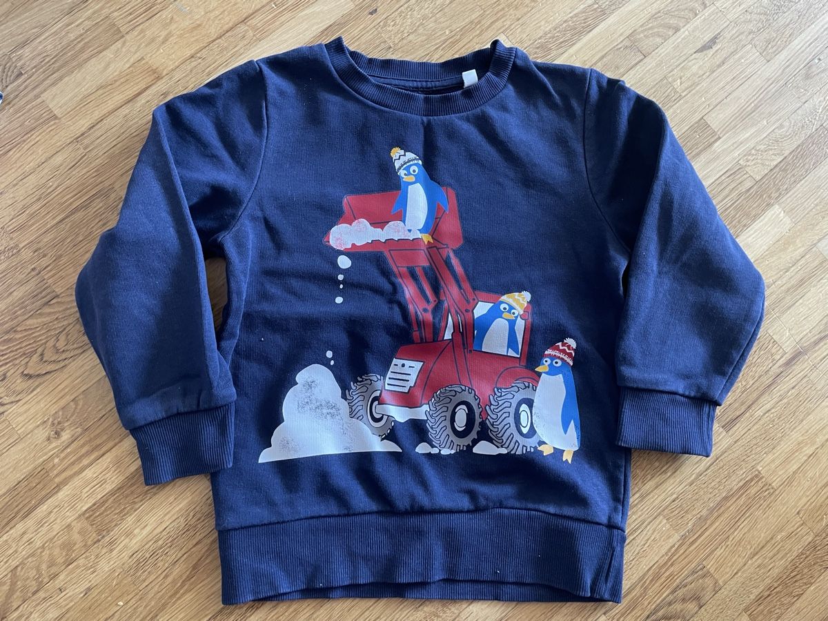 Maglioni & Felpe: Sweat-Pullover Grösse 110 – Nuovo (secondo la descrizione) da luzern venduto da plueschmors.