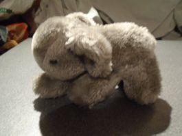 Elefant grau, klein