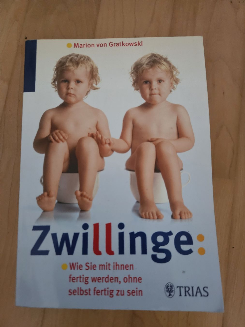 Bücher: Buch: Zwillinge Ratgeber – Neu (gemäss Beschreibung) aus Koppigen von Thomkop