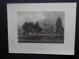 Schadau Thun von Rüdisühli