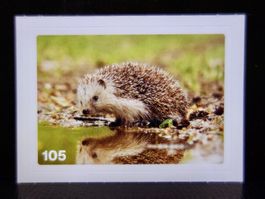 MIGROS MANIA Nature Detectives Nr. 105