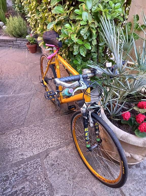 Biciclette: Bicicletta coppi – Usato da Bellinzona venduto da robertodiapason 1