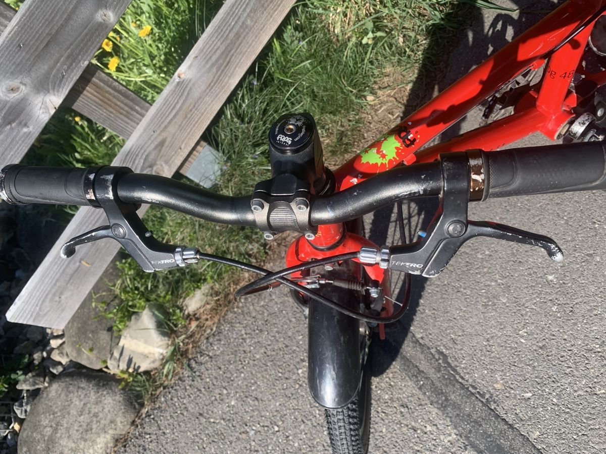Velos: Rotes Frog Kinder Velo, 16 Zoll – Gebraucht aus Frutigen von 1229 4