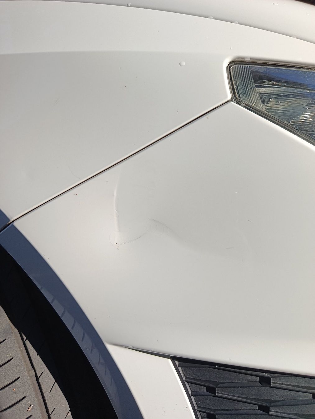 Seat Automobili: Seat Ibiza Cupra – Usato da Egnach venduto da madmax015 3