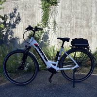 Neuwertig BULLS  EVO 1 E-Bike  Top Zustand (Nur 165 km!)