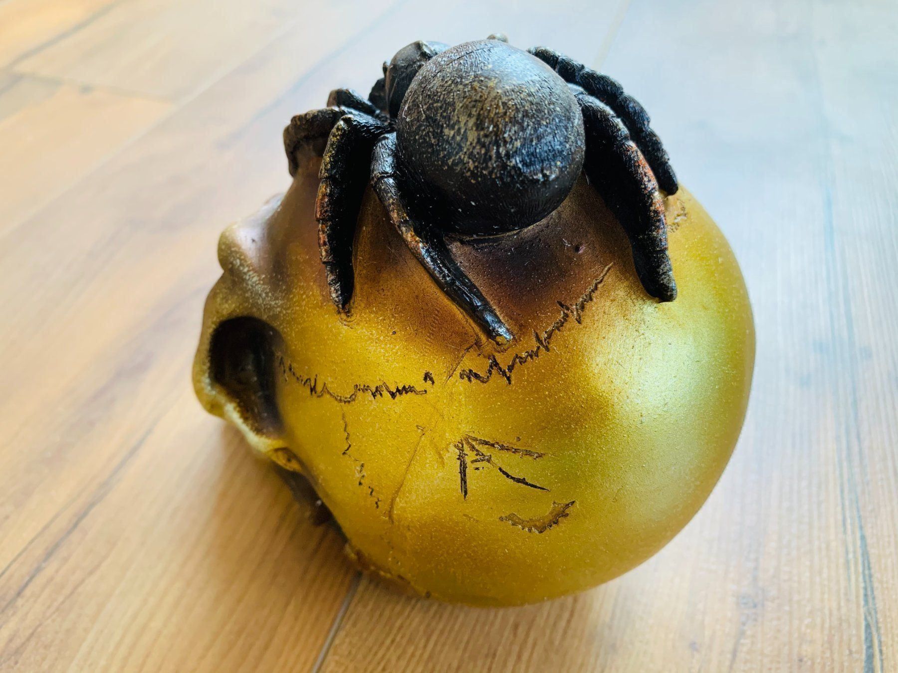 Sculture & Statue: Totenschädel Schädel SKULL Spider 14cm NEU – Nuovo e nell'imballaggio originale da Bergdietikon venduto da shopAgent 4