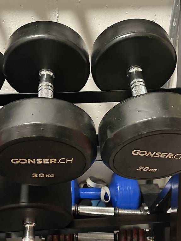 Hometrainer: Rastrelliera + manubri (vari) – Usato da bellinzona venduto da Emanuelearrighi 2