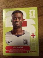 Panini Fifa ENG 4