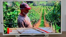 LG LED Fernseher 42LN5778-ZK 42 Zoll weiss gebraucht mit FB