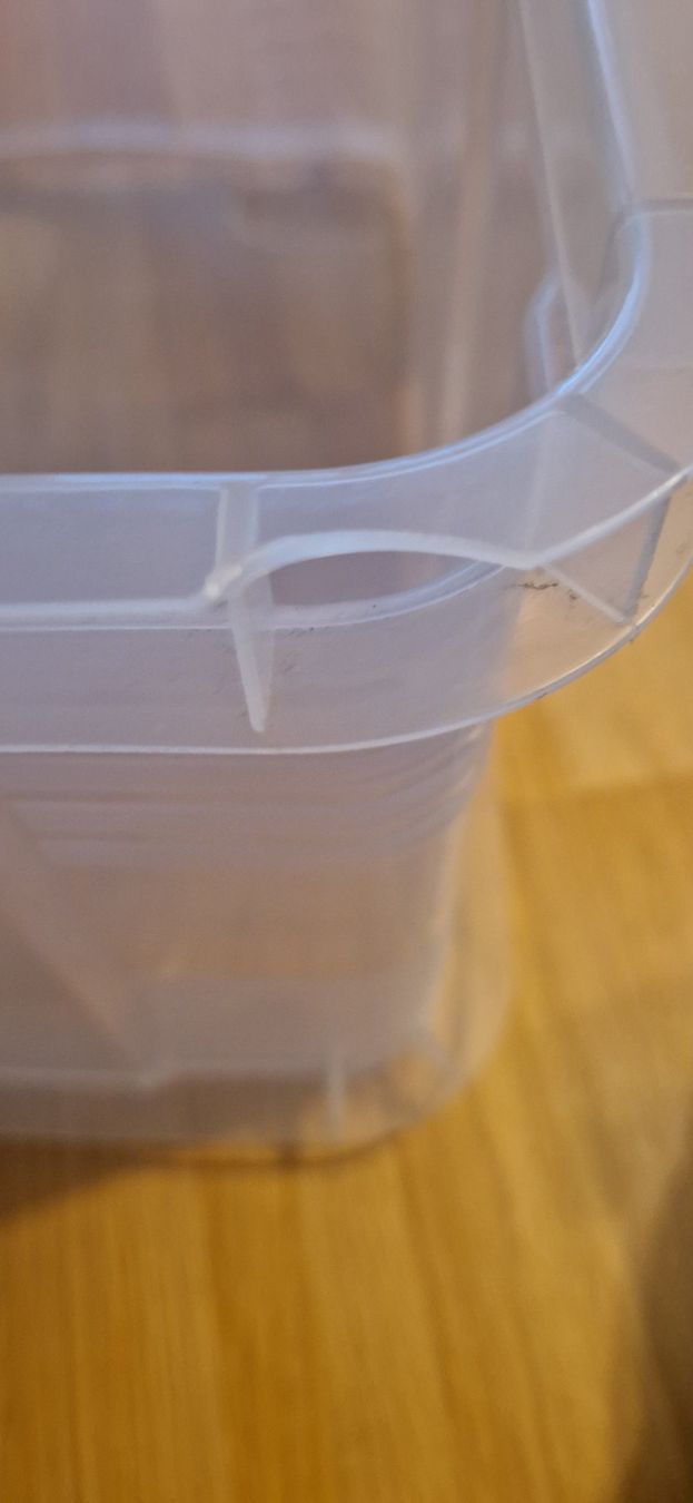 Rotho Behälter & Ähnliches: 3x Rotho Aufbewahrungsboxen transparent – Gebraucht aus Riehen von Aconitum 4