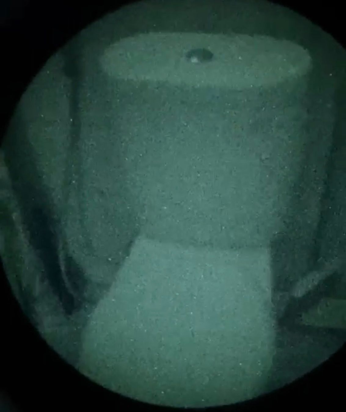 Binocoli: NVG / Nachtsichtgerät Theon NX-122C – Usato da Brent venduto da mininarko 5