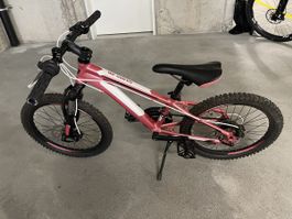Mountain Bike California 20”