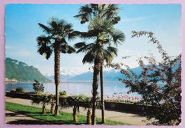 Lac Léman et Dents du Midi