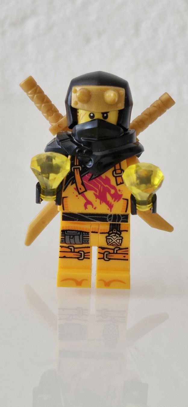 Lego Figuren: LEGO NINJAGO Arin UNBESPIELT – Neu (gemäss Beschreibung) aus Anglikon von der_dp89