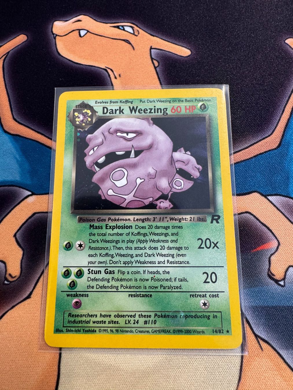 Pokémon Carte collezionabili: Dark Weezing (TR 14) - Holo - Team Rocket – Nuovo (secondo la descrizione) da Bülach venduto da Pfrenzel