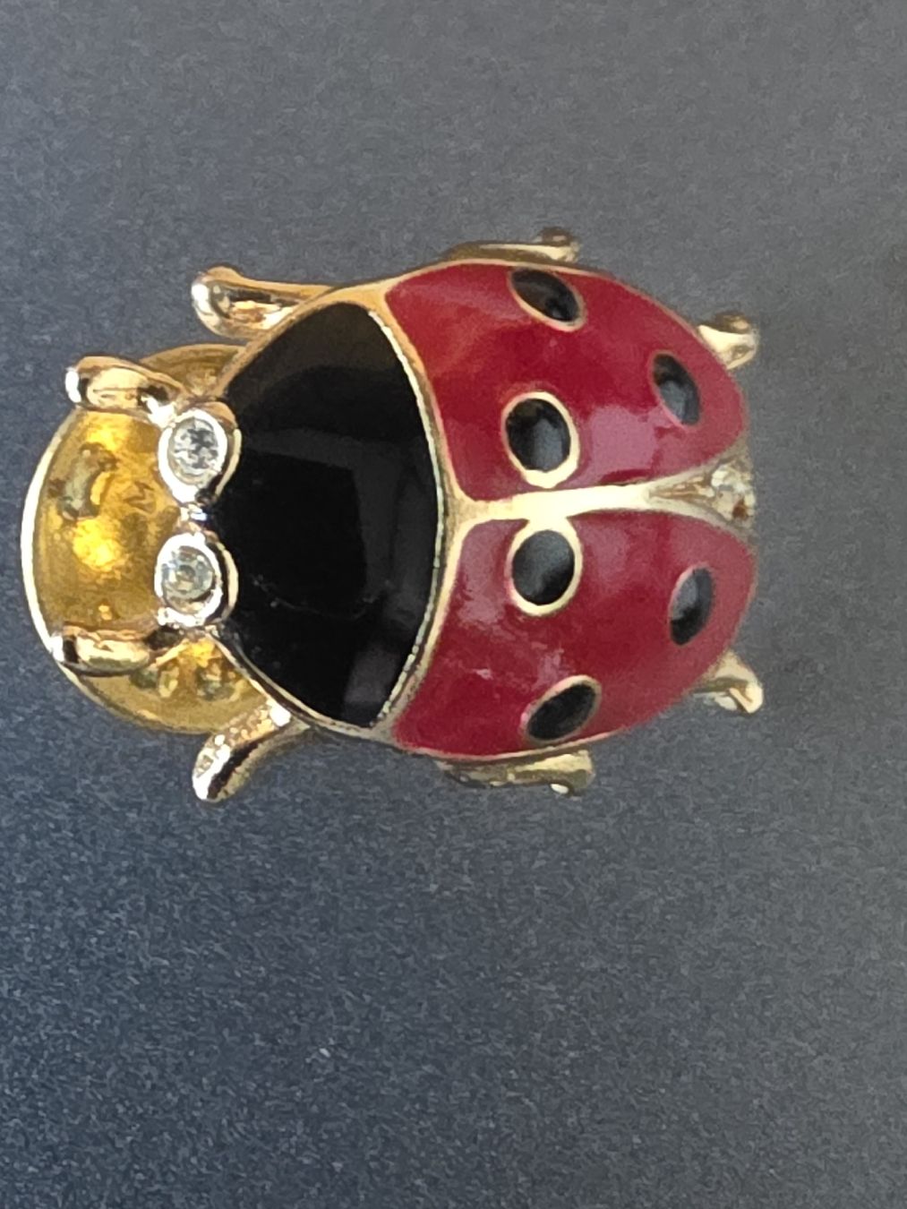 Placchette & Badge: Vintage Ladybug Pin – Nuovo (secondo la descrizione) da Hinwil venduto da Ehretstock8